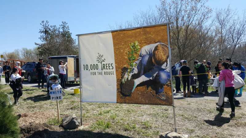 1000 Trees